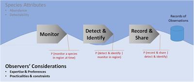 A Framework of Observer-Based Biases in Citizen Science Biodiversity Monitoring: Semi-Structuring Unstructured Biodiversity Monitoring Protocols